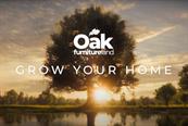 Oak Furnitureland explores treehouses perched in 'biggest oak tree in the world'